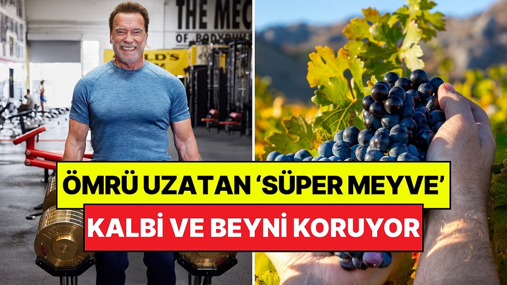 Uzman Diyetisyenler Açıkladı: Kalp ve Beyin Sağlığı İçin En Faydalı 'Süper Meyve' Belli Oldu