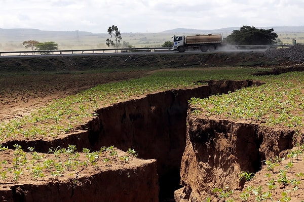 Yerkabuğunun altında milyonlarca yıldır gizlenen fosil izler gün yüzüne çıkıyor