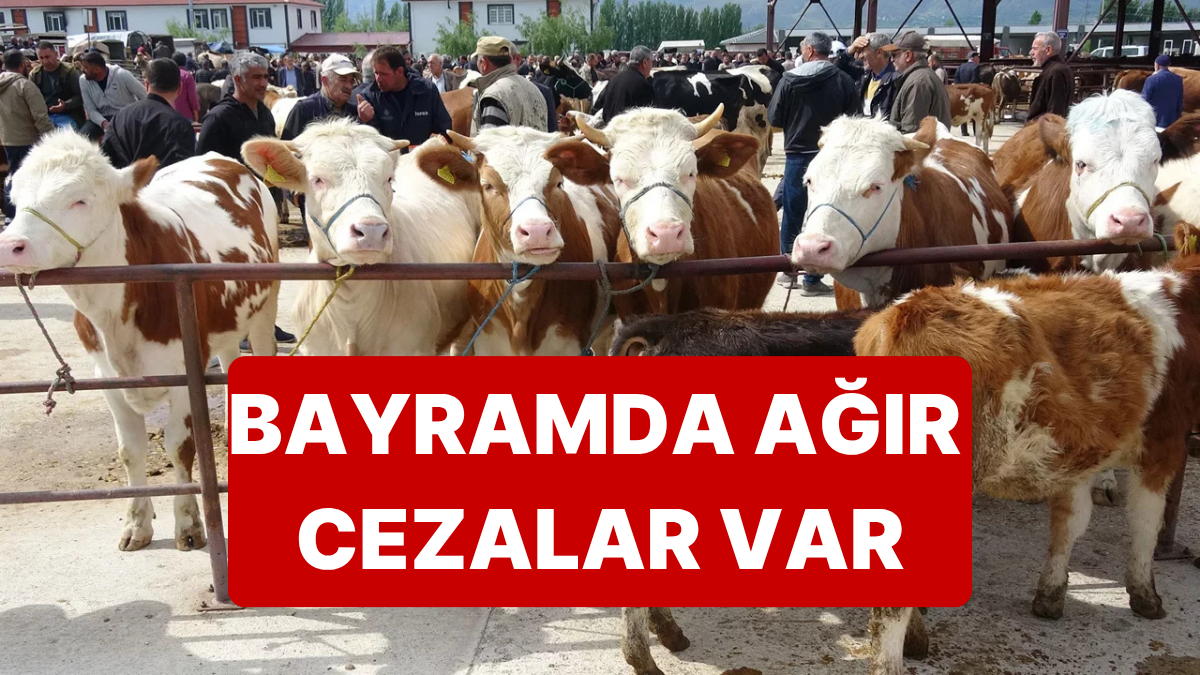 Kurban Bayramında Kurallara Uymayanları Ağır Cezalar Bekliyor
