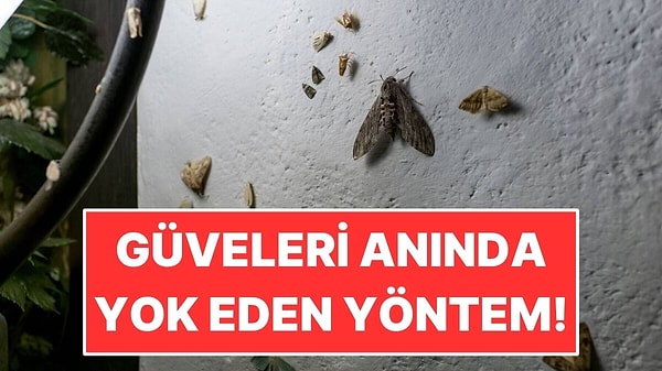 Güveler Kıyafetlere Dadanmadan Önce Yapılması Gerekenler