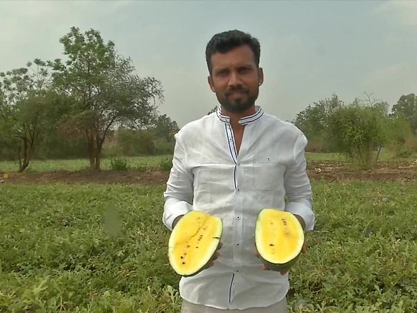 Hasat döneminde yaşanan yoğun talep ve yüksek kâr marjı sayesinde, tarlasını bu işe ayıran çiftçiler için ev ve araba sahibi olmak artık bir hayal değil, sadece bir-iki hasatlık bir hedef haline gelmiş durumda.