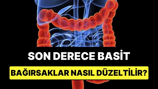 Bağırsak Sağlığınızı Güçlendirmenin 5 Etkili Yolu
