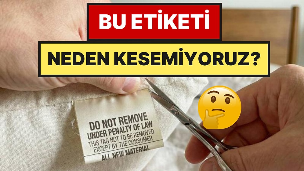 Yastıklardaki Etiketlerde Neden 'Kesmeyin' Yazıyor? Gerçekten Yasak mı?
