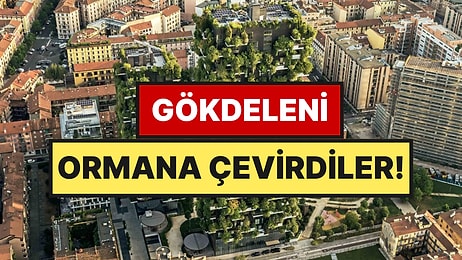 1 Milyon Metrekarelik Ormanı Gökdelene Sığdırdılar