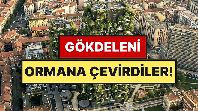Ormanı Gökdelene Sığdırdılar