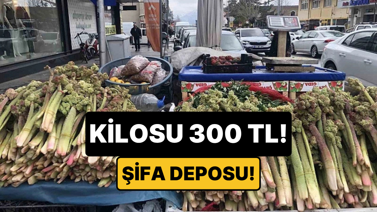 Yüksek Rakımın Şifalı Lezzeti Işkın Tezgahlarda: Kilosu 300 TL!