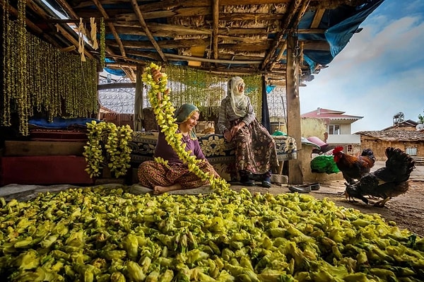 National Geographic ödüllü sayılı Türk sanatçılardan biri