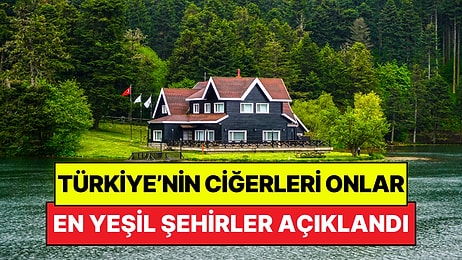 Türkiye'nin En Yeşil Şehirleri Açıklandı: Sadece 14 İlimiz Sınırı Geçebildi