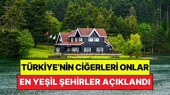 Türkiye'nin En Yeşil Şehirleri Açıklandı: Sadece 14 İlimiz Sınırı Geçebildi