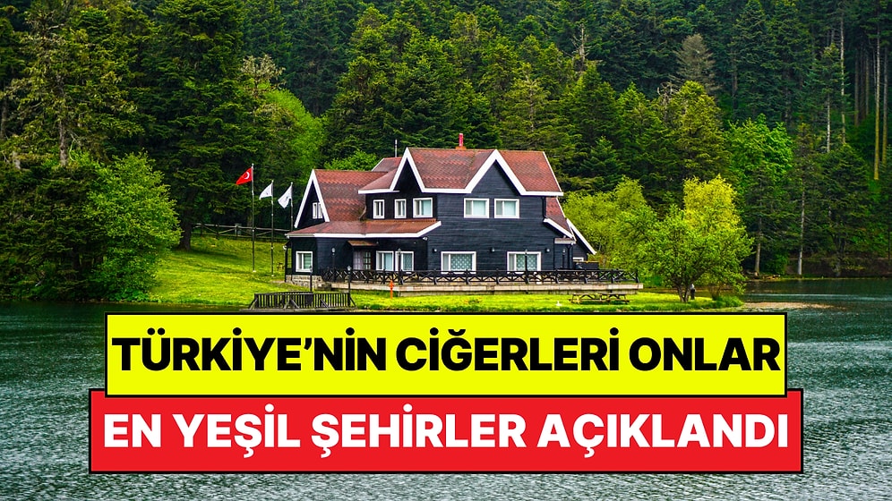 Türkiye'nin En Yeşil Şehirleri Açıklandı: Sadece 14 İlimiz Sınırı Geçebildi