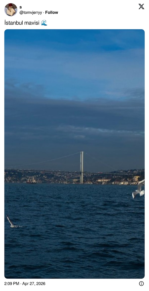 İçimiz açıldı doğrusu!