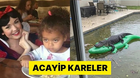 İnternet Aleminde Global Anlamda Viral Olmuş Birbirinden Tuhaf Kareler