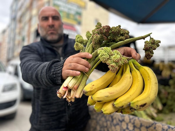 Doğu Anadolu’nun yüksek rakımlı zirvelerinde doğal olarak yetişen, bölge halkı tarafından "yayla muzu" olarak adlandırılan uçkun, baharın gelişiyle birlikte seyyar tezgahlardaki yerini aldı.