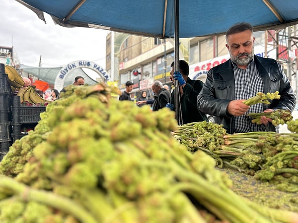 Uçkunun; başta şeker hastalığı olmak üzere tansiyon, kanser ve verem gibi birçok rahatsızlığa iyi geldiği biliniyor.