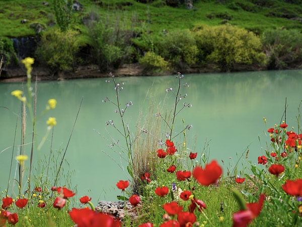 Baharın gelişiyle birlikte endemik bitki türleri ve rengarenk çiçeklerle süslenen kanyon, kartpostallık görüntüler oluşturuyor.