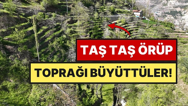 2 Dönüm Araziyi Taş Duvarlarla 8 Dönümlük Tarım Cennetine Çevirdi