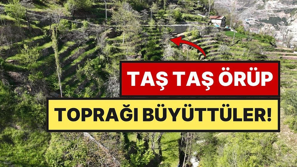 2 Dönüm Araziyi Taş Duvarlarla 8 Dönümlük Tarım Cennetine Çevirdi