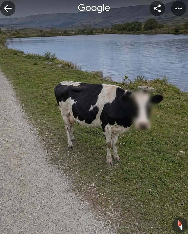 İşte o görüntü 👀