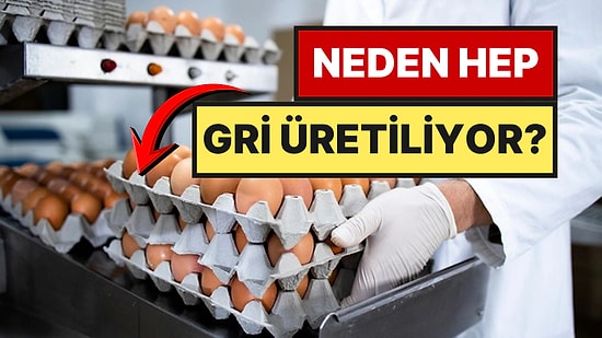 Yumurta Kartonları Neden Hep Gri Renkte?