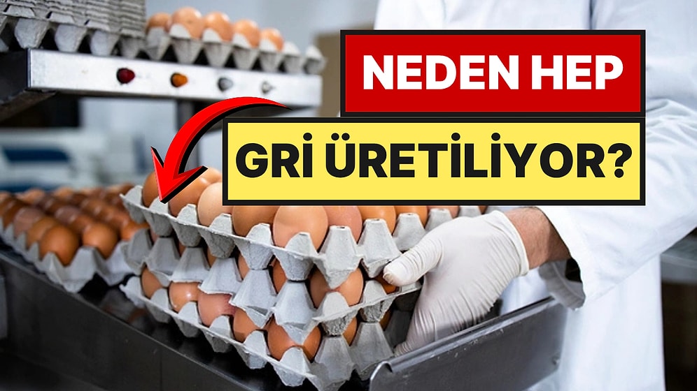 Yumurta Kartonları Neden Hep Gri Renkte?