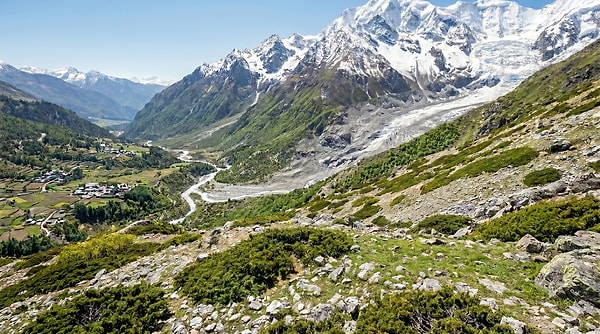 Bitki sınırı her geçen yıl daha yüksek rakımlara ulaşıyor