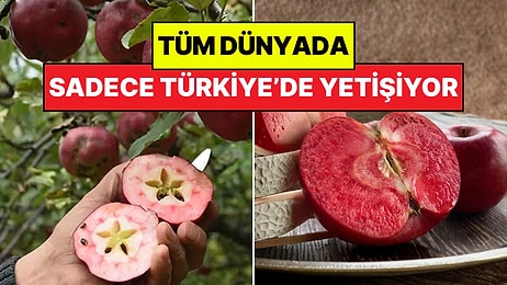 Dünya'da Sadece Türkiye'de Yetişiyor: Ülkemize Tescilli Bu Elmanın Eşi Benzeri Yok