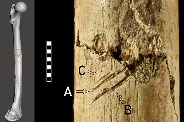 Cagliari Üniversitesi’nden biyoarkeolog Vitale Sparacello ve ekibi, kalıntıları üç boyutlu görüntüleme teknikleriyle analiz etti.