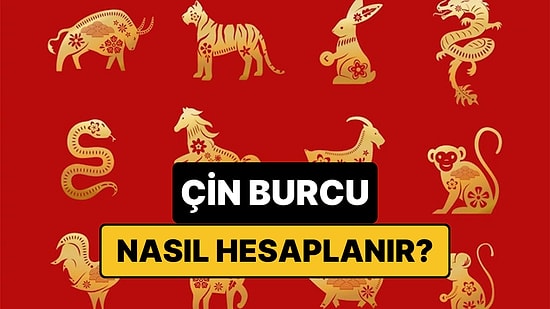 Çin Burcu Nedir, Nasıl Hesaplanır? Çin Astrolojisine Göre Burcunuzu Bulma