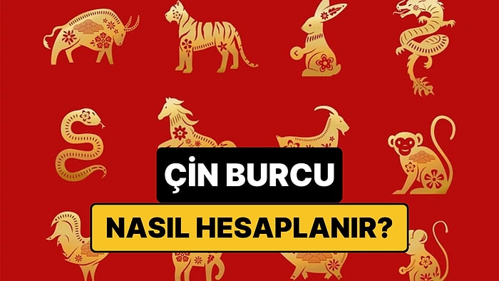 Çin Burcu Nedir, Nasıl Hesaplanır? Çin Astrolojisine Göre Burcunuzu Bulma