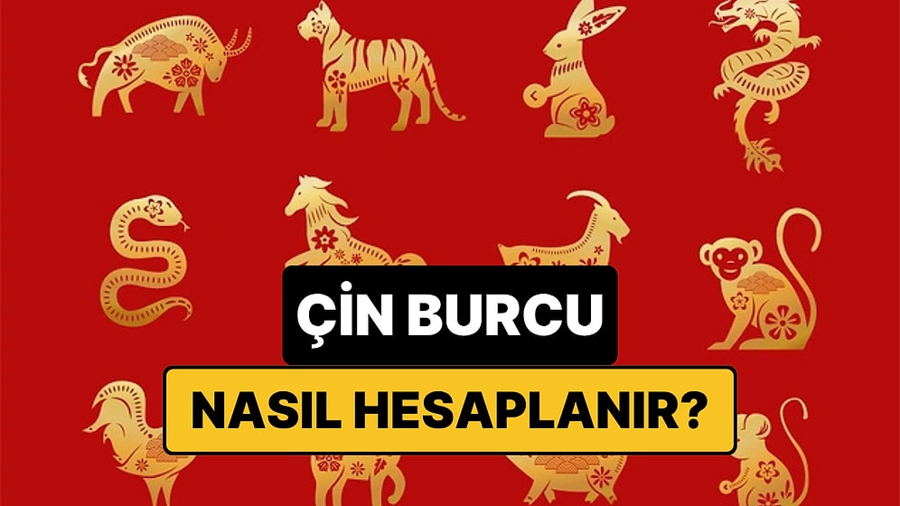Çin Burcu Nedir, Nasıl Hesaplanır? Çin Astrolojisine Göre Burcunuzu Bulma