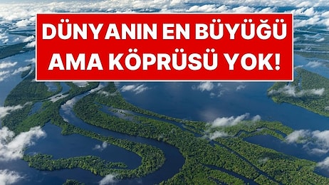 6 Bin 400 Kilometrelik Dev Nehirde Tek Bir Köprü Bile Yok
