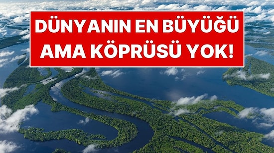 6 Bin 400 Kilometrelik Dev Nehirde Tek Bir Köprü Bile Yok