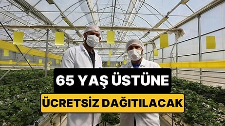 Çöpten Üretilen Enerjiyle Isınan Seralarda Çilek ve Domates Hasadı Başladı