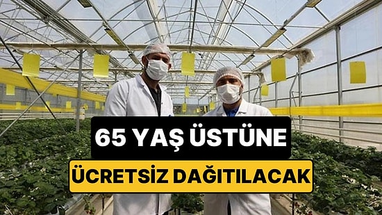 Çöpten Üretilen Enerjiyle Isınan Seralarda Çilek ve Domates Hasadı Başladı