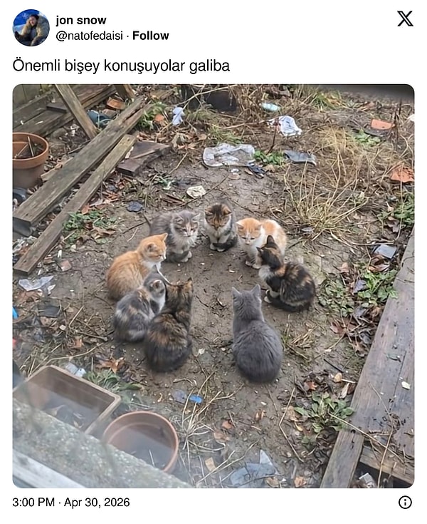 Mart ayının kritiği.