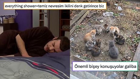 Ağlamadan Tartışmanın Zorluğundan Dünyayı Ele Geçirmeye Çalışan Kedilere Son 24 Saatin Viral Tweetleri