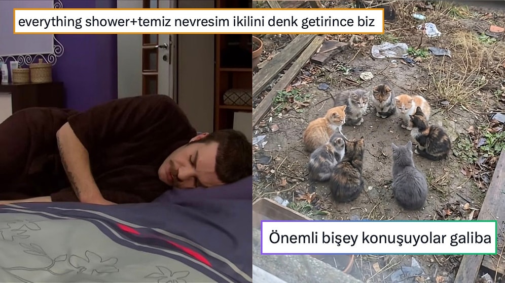 Ağlamadan Tartışmanın Zorluğundan Dünyayı Ele Geçirmeye Çalışan Kedilere Son 24 Saatin Viral Tweetleri