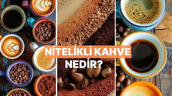 Nitelikli Kahve Nedir?