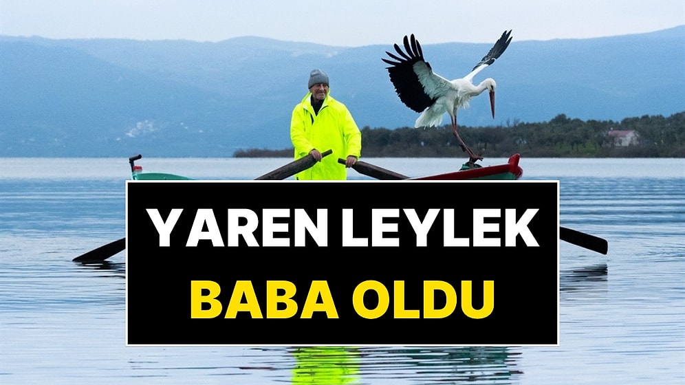 Adem Amcanın Gözü Aydın! Yaren Leylek Baba Oldu