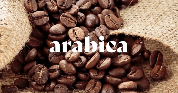 Ruhunun dengesiyle buluştuğu kahve: Arabica
