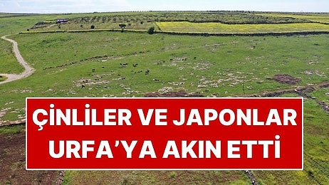 Japonların ve Çinlilerin Radarına Giren 2 İlçe! Senelerce Kazı Yapacaklar