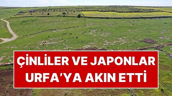 Japonların ve Çinlilerin Radarına Giren 2 İlçe! Senelerce Kazı Yapacaklar
