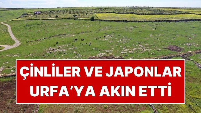 Japonların ve Çinlilerin Radarına Giren 2 İlçe! Senelerce Kazı Yapacaklar
