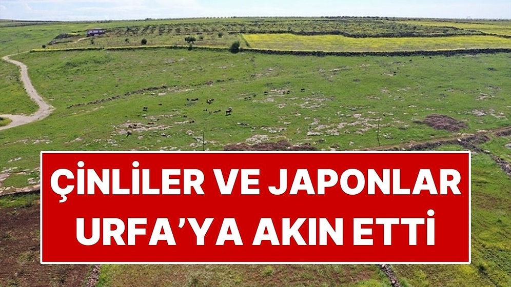 Japonların ve Çinlilerin Radarına Giren 2 İlçe! Senelerce Kazı Yapacaklar