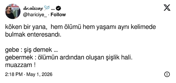 👇🏻