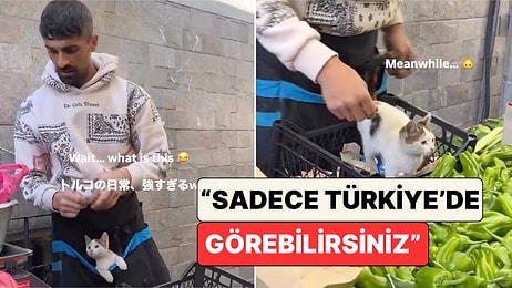 İstanbul'da Yaşayan Bir Japon Pazarda Kedisiyle Çalışan Pazarcıyı Görüntüledi