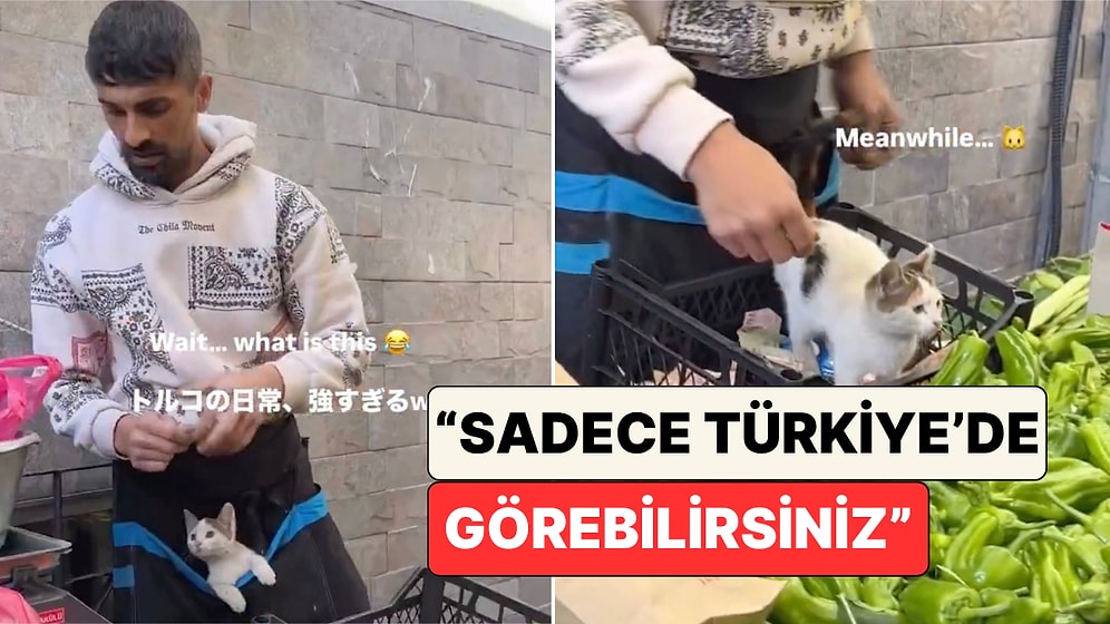 İstanbul'da Yaşayan Bir Japon Pazarda Kedisiyle Çalışan Pazarcıyı Görüntüledi