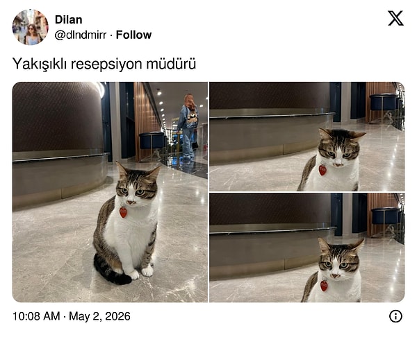 Neden önünde kuyruklar yok?
