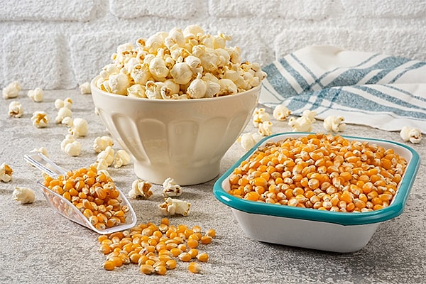 Bu dönüşüm sırasında mısır tanesinin protein yapısı da değişir.