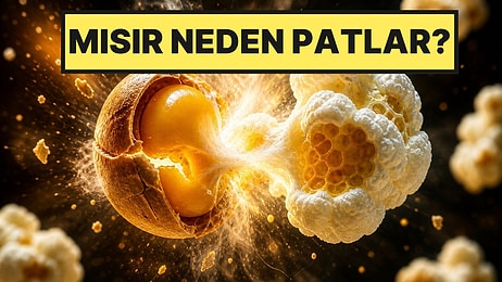 Herkes Yiyor Ama Düdüklü Tencere Gibi Çalıştığını Bilmiyor